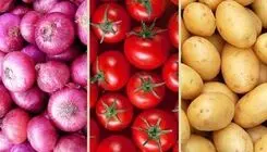ورود میوه و تره‌بار به کالابرگ/ تغییر بزرگ در خرید خانوار از ۱۵ اسفند اجرا می شود