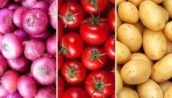 ورود میوه و تره‌بار به کالابرگ/ تغییر بزرگ در خرید خانوار از ۱۵ اسفند اجرا می شود