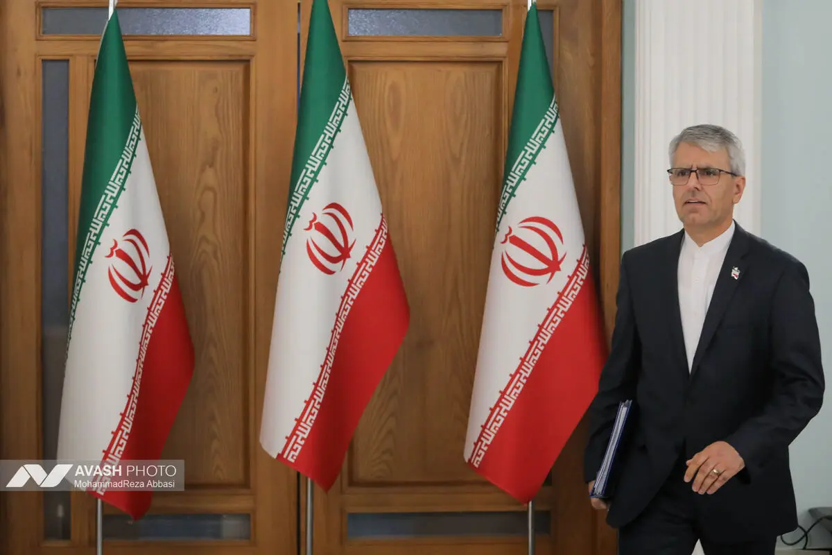 نشست خبری سخنگوی وزارت خارجه