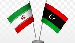 دیدار وزیر نفت با وزیر نفت و گاز لیبی و نیجریه