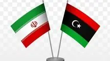 دیدار وزیر نفت با وزیر نفت و گاز لیبی و نیجریه
