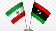 دیدار وزیر نفت با وزیر نفت و گاز لیبی و نیجریه
