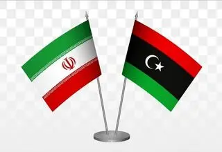 دیدار وزیر نفت با وزیر نفت و گاز لیبی و نیجریه