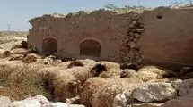 اعلام جدول قیمت دام زنده به تفکیک هر استان امروز ۲۲ اردیبهشت