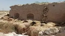 اعلام جدول قیمت دام زنده به تفکیک هر استان امروز ۲۲ اردیبهشت