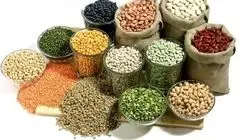 تامین ۶۰ درصد حبوبات مصرفی کشور در داخل؛ افزایش قیمت اجتناب‌ناپذیر است