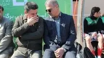 چراغ سبز جویباری به فرکانس‌های قلعه‌نویی
