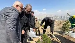 کاشت یک میلیون درخت در تهران به یاد رهبر شهید