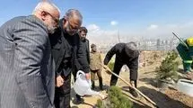 کاشت یک میلیون درخت در تهران به یاد رهبر شهید