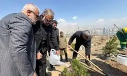 کاشت یک میلیون درخت در تهران به یاد رهبر شهید
