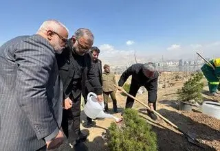 کاشت یک میلیون درخت در تهران به یاد رهبر شهید