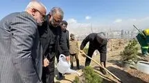 کاشت یک میلیون درخت در تهران به یاد رهبر شهید