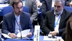 ممانعت از حضور رئیس سازمان انرژی اتمی در کنفرانس عمومی آژانس،نقض آشکار حقوق ایران است