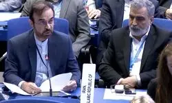ممانعت از حضور رئیس سازمان انرژی اتمی در کنفرانس عمومی آژانس،نقض آشکار حقوق ایران است