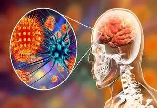 آخرین وضعیت بیماری نیپا اعلام شد