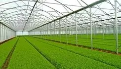 صرف ۲۵ میلیارد متر مکعب آب برای سبزی و صیفی