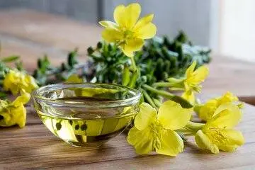 روغن گل مغربی چه فایدهای دارد؟