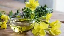 روغن گل مغربی چه فایده‌ای دارد؟