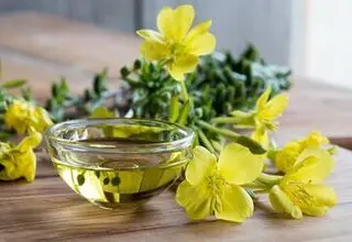 روغن گل مغربی چه فایده‌ای دارد؟