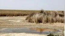 بحران بارونکردنی در تالاب شادگان