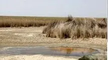 بحران بارونکردنی در تالاب شادگان