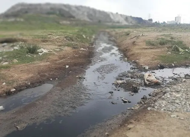  شمال ایران در محاصره زباله؛ از مرگ جنگل‌های هیرکانی تا تهدید سفره‌های آب