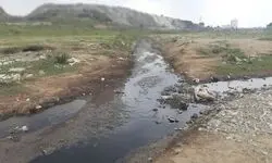  شمال ایران در محاصره زباله؛ از مرگ جنگل‌های هیرکانی تا تهدید سفره‌های آب