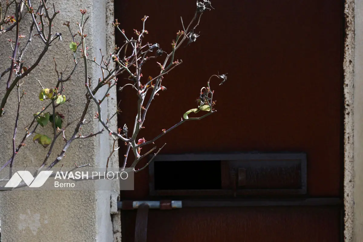 زندان خیام در جنوب لبنان