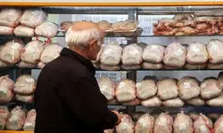 تولید سالانه ۲ میلیون و ۸۰۰ هزارتن مرغ در کشور؛ ضرورت برنامه‌ریزی برای صادرات 