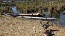 هورالعظیم در عطش حقابه؛ نبض تالاب در انتظار آب