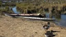 هورالعظیم در عطش حقابه؛ نبض تالاب در انتظار آب