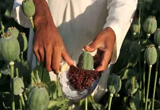 شعبه‌های فروش تریاک در تهران کجاست؟