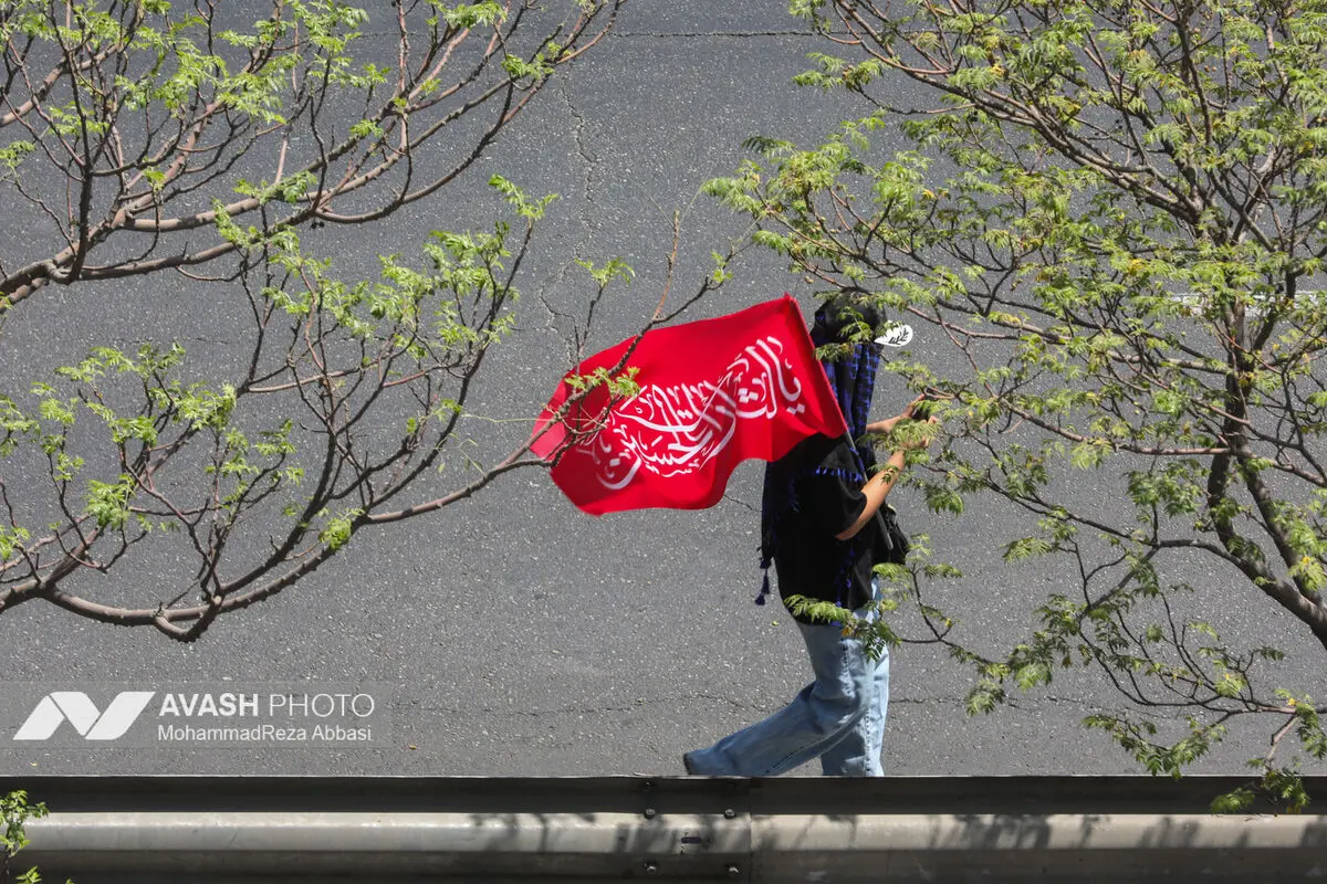 پیاده‌روی جاماندگان اربعین در تهران