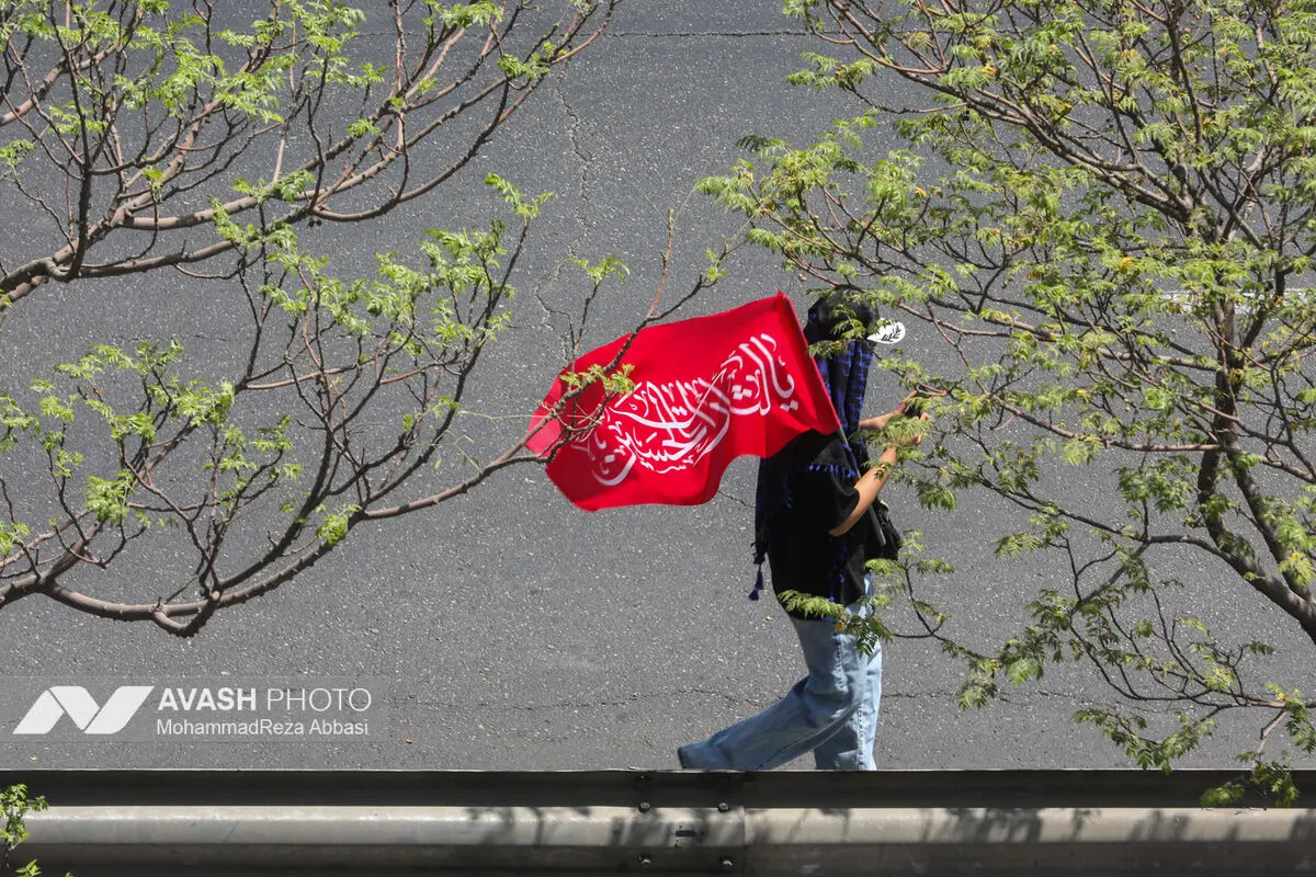 پیاده‌روی جاماندگان اربعین در تهران