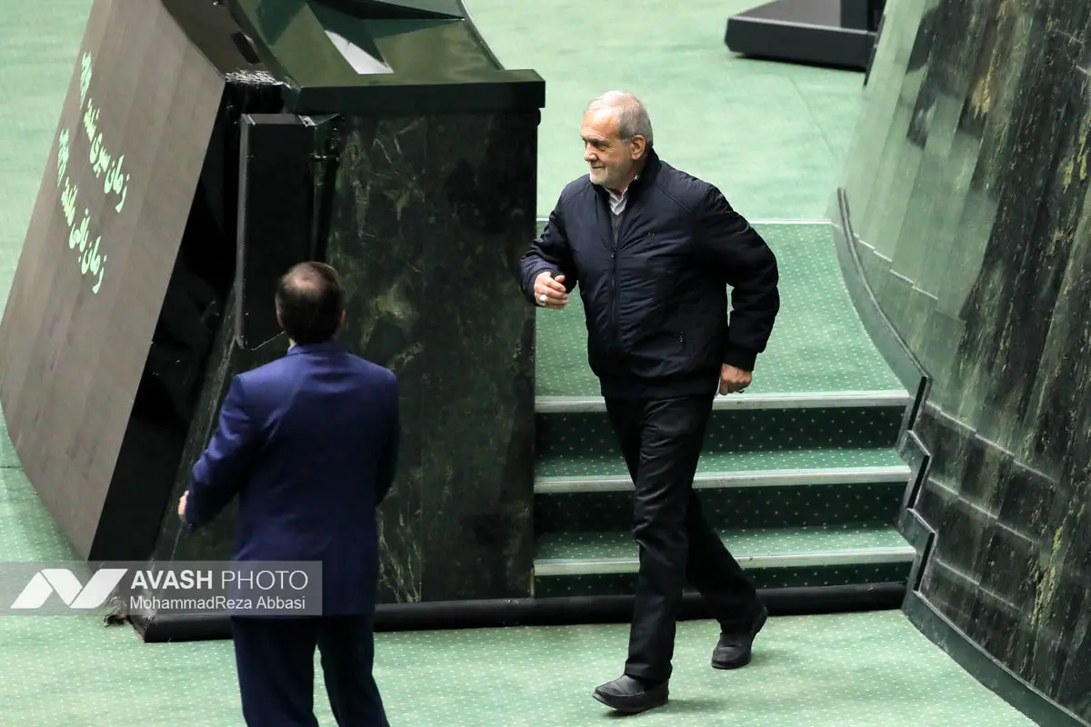 صحن علنی مجلس - ۲ دی