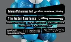 برگزاری نمایشگاه حجم «زیست پنهان» در گالری نیان