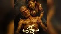 مهدی گنجی «سرخ‌رگ» را تمام کرد