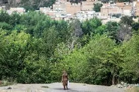ناگفتههای پرونده سوپراستار/گفتوگو با شاکی پرونده «پژمان جمشیدی»