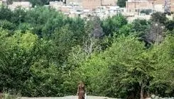 ناگفته‌های پرونده سوپراستار/گفت‏‌وگو با شاکی پرونده «پژمان جمشیدی»