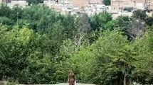 ناگفتههای پرونده سوپراستار/گفتوگو با شاکی پرونده «پژمان جمشیدی»
