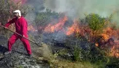 حریق جنگل‌های جلفا را در بر گرفت