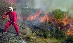 حریق جنگل‌های جلفا را در بر گرفت