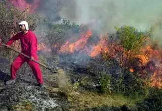 حریق جنگل‌های جلفا را در بر گرفت