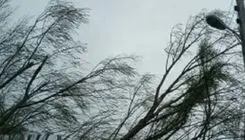 هشدار نسبت به وزش باد شدید در تهران