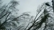 هشدار نسبت به وزش باد شدید در تهران