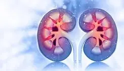 سلامت مغز با عملکرد کلیه‌ها مرتبط است