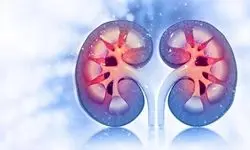 سلامت مغز با عملکرد کلیه‌ها مرتبط است