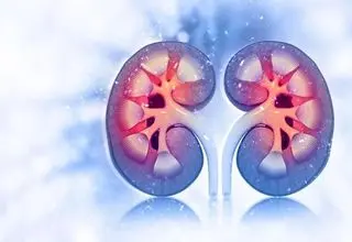 سلامت مغز با عملکرد کلیه‌ها مرتبط است