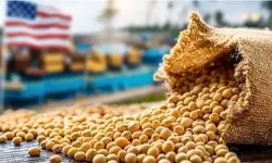 امنیت غذایی با شعار تامین نمی‌شود/ سفره‌های شهروندان وابسته به واردات ذرت و نهاده‌ها