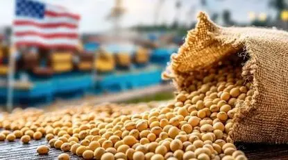 امنیت غذایی با شعار تامین نمی‌شود/ سفره‌های شهروندان وابسته به واردات ذرت و نهاده‌ها